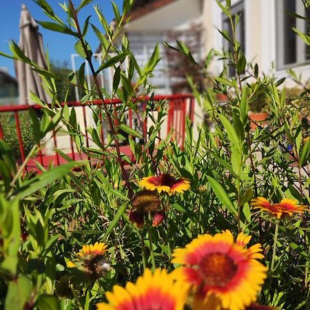 Bed and Breakfast Campagn'Arts Villechetif Экстерьер фото