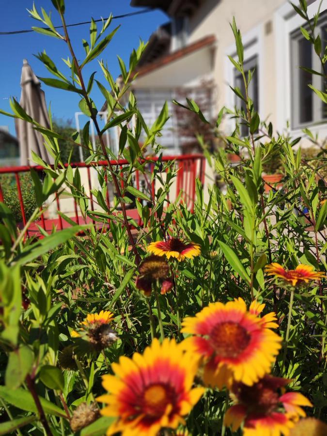Bed and Breakfast Campagn'Arts Villechetif Экстерьер фото
